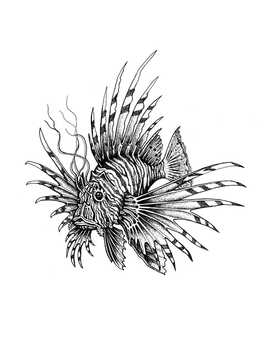 "Lion Fish" Signed Print, Ink Drawing