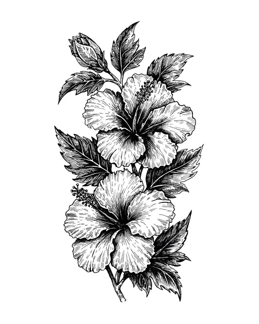 "Hibiscus" Signed Print, Ink Drawing