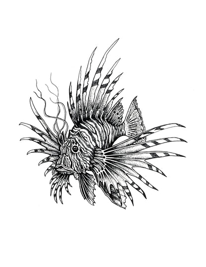 "Lion Fish" Signed Print, Ink Drawing