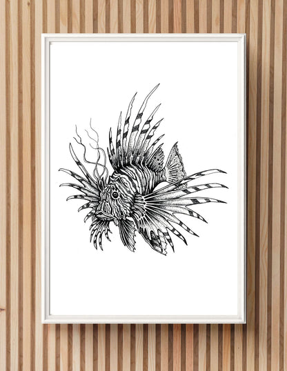 "Lion Fish" Signed Print, Ink Drawing