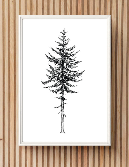 "Tall Tree" Signed Print, Ink Drawing