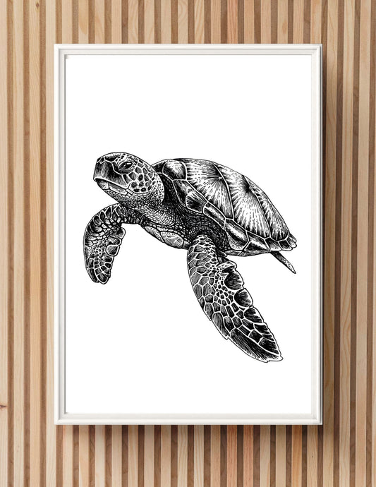 "Sea Turtle" Signed Print, Ink Drawing