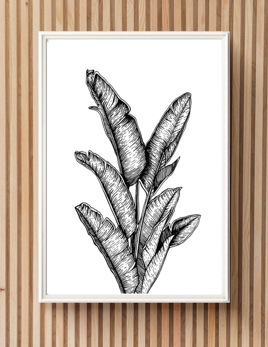 "Palm Leaves" Signed Print, Ink Drawing